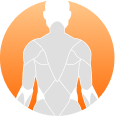 Back & Spine